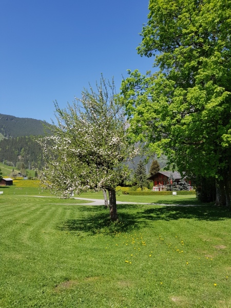 20180506_121155