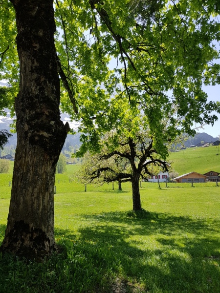 20180506_133248