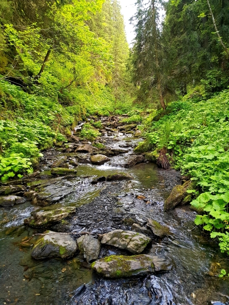 20180611_202516