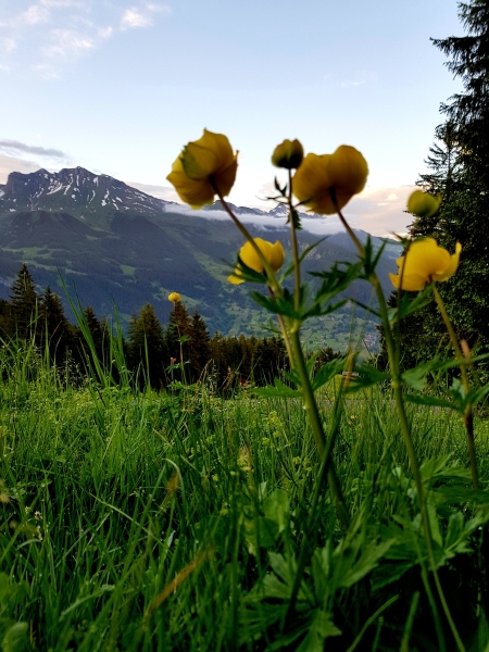 20180611_210647
