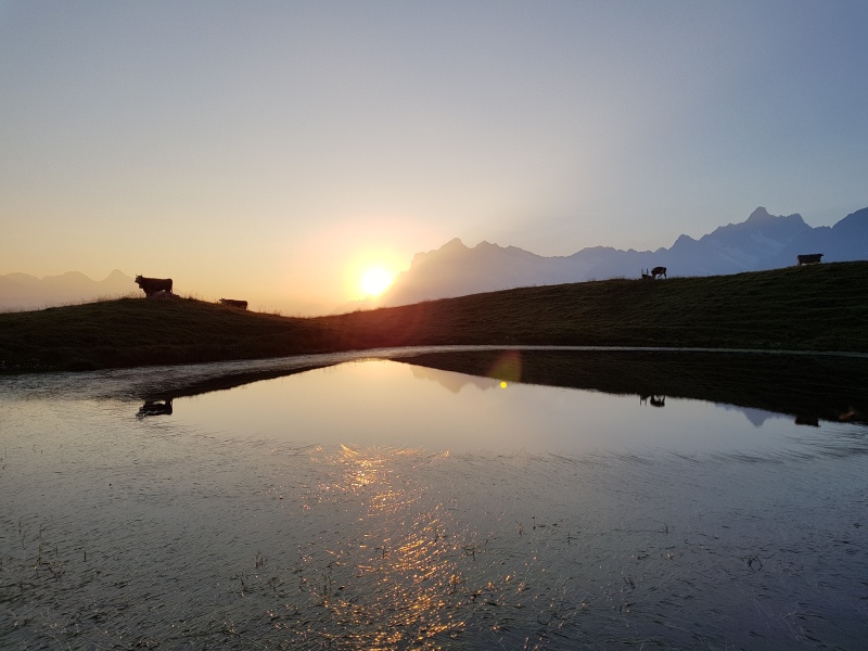 20180804_063401