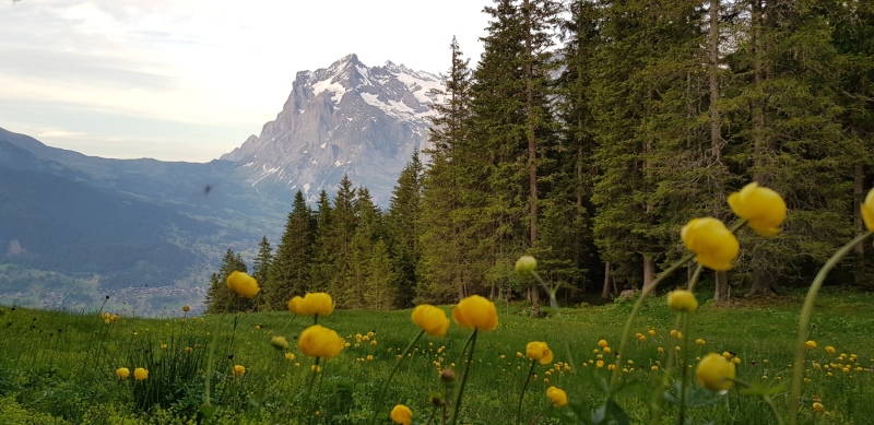 20190624_205406
