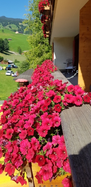 20190724_095756