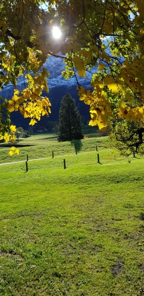 20191016_114251