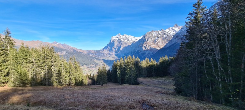 20201113_141046