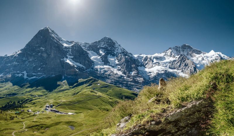 kleine-scheidegg-murmeltier-eiger-moench-jungfrau-sommer