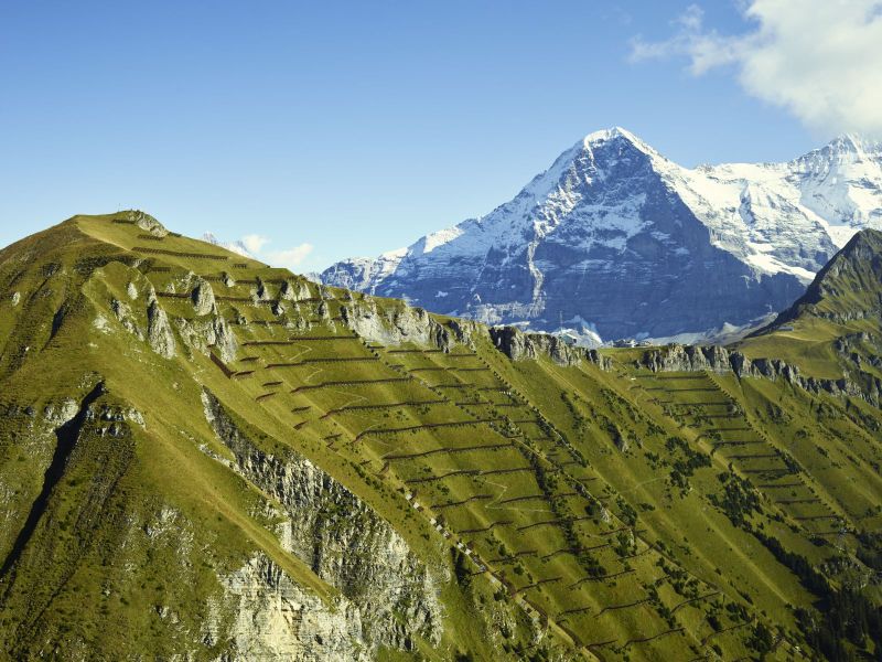 maennlichen-eigernordwand-panorama-sommer