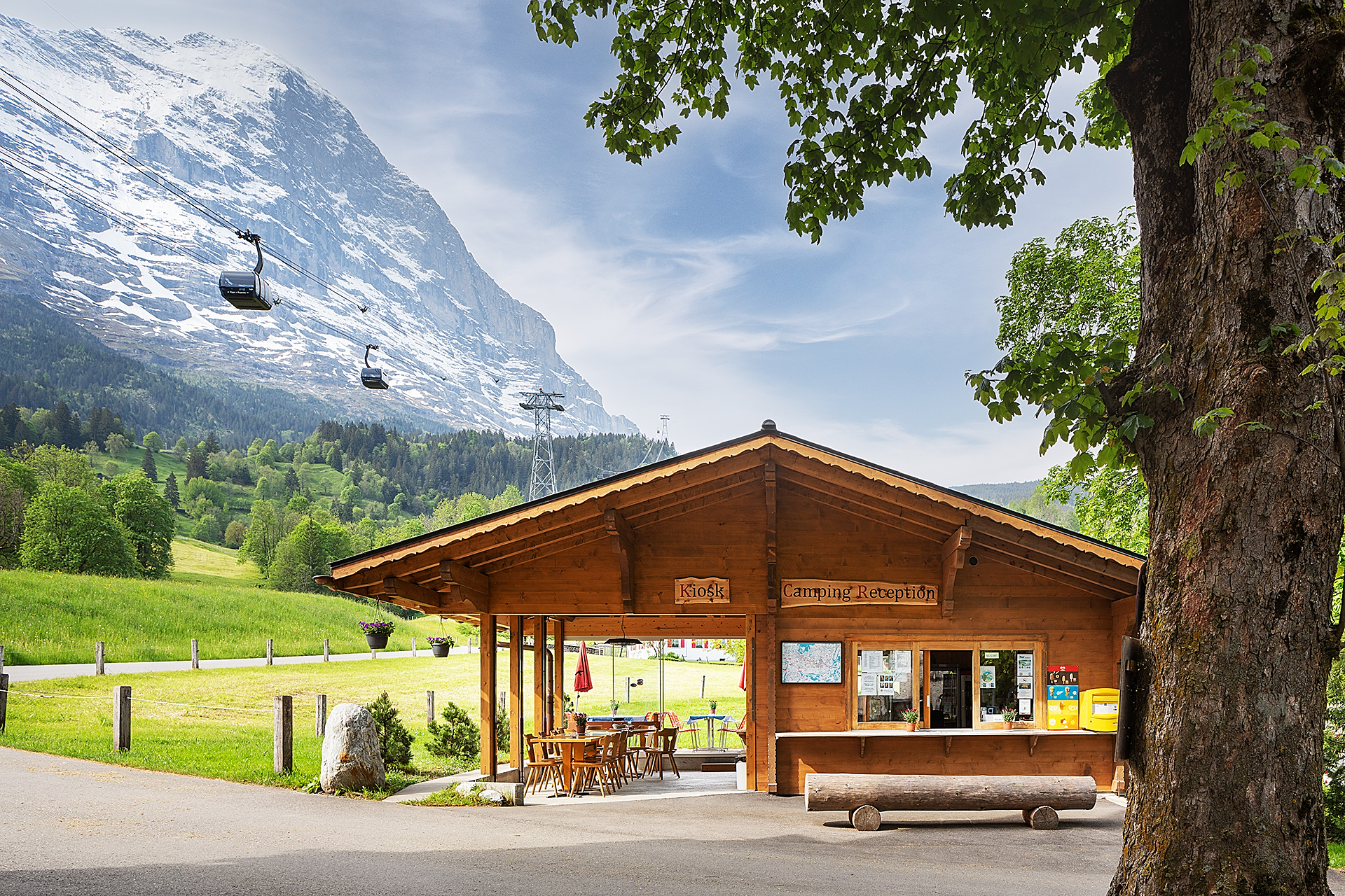 cook inside tent Camp Set Geschenk_Freund Which Ford Mustang Do You Have?:PC18 / Ford / Mustang / 7th Gen S650 (2024+) / (2.3L EcoBoost - 5.0L Coyote V8 - 5.2L Predator SC V8) Mag NOW! Pistol Pouches